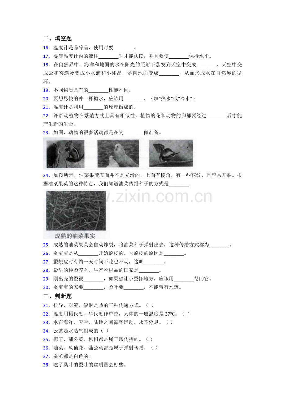 四年级下册科学期末测试卷-苏教版含答案.doc_第2页