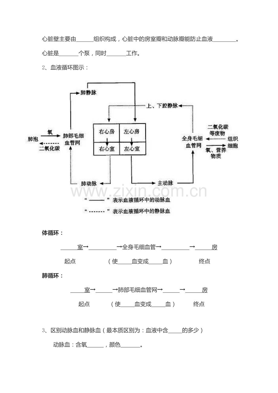 人体内物质的运输（学生卷）.docx_第3页