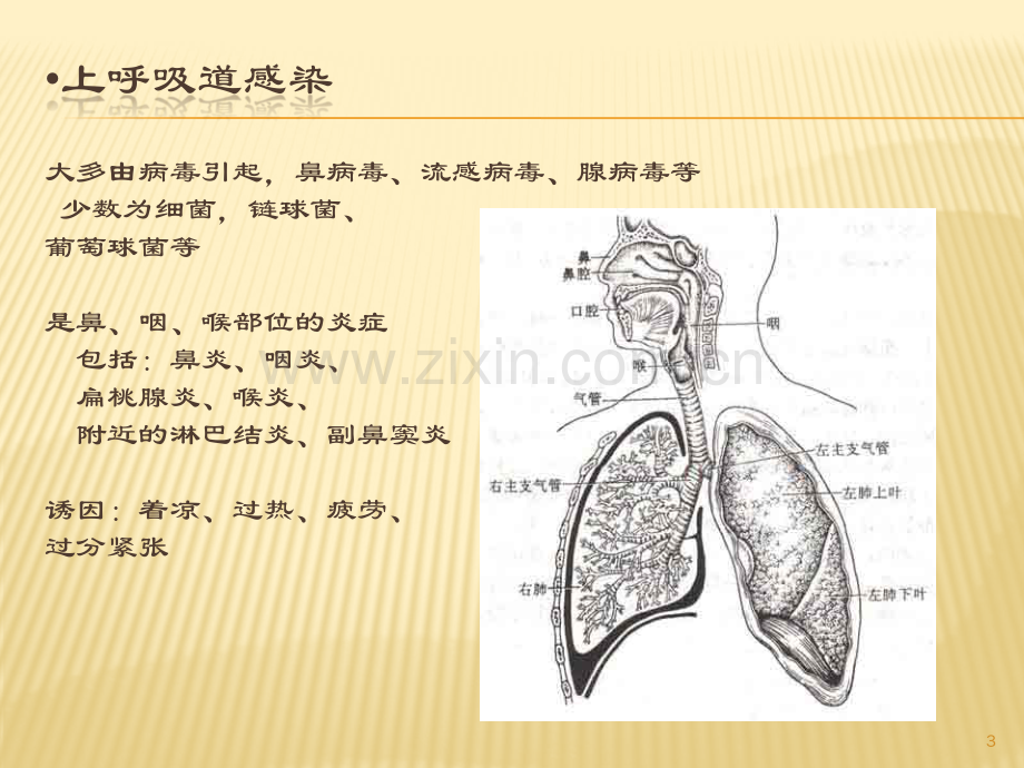 育婴师高级5常见疾病.pdf_第3页