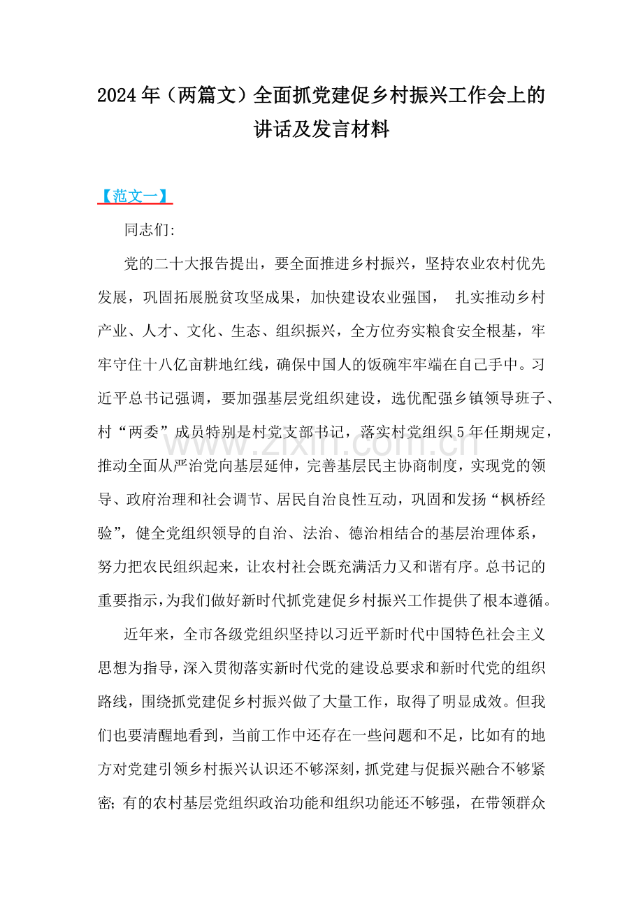 2024年（两篇文）全面抓党建促乡村振兴工作会上的讲话及发言材料.docx_第1页