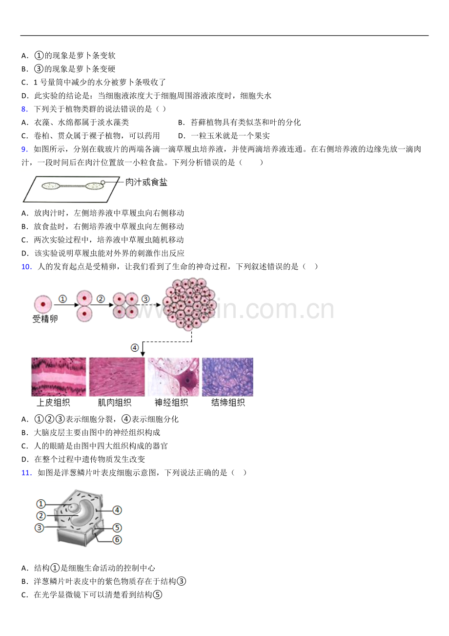 成都市生物七年级上学期期末生物试题.doc_第2页