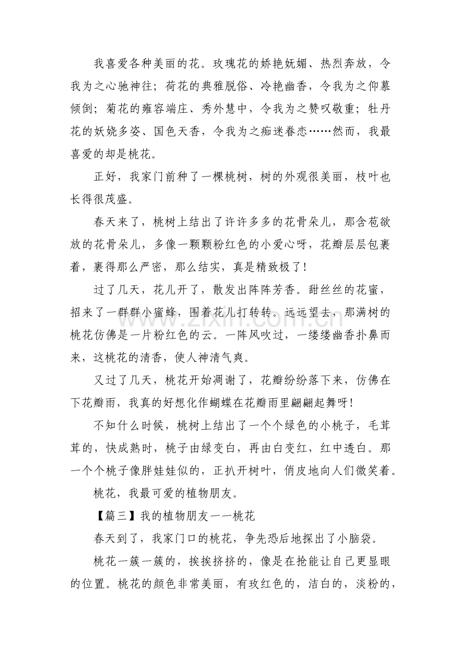 我的植物朋友一一桃花(通用3篇).pdf_第2页