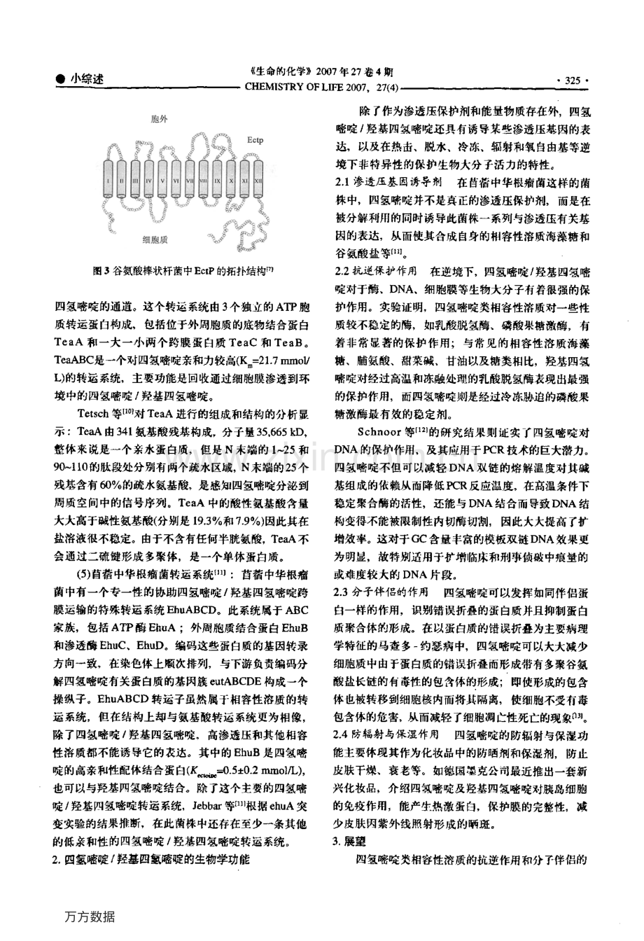 四氢嘧啶类物质的生物合成与转运途径及其生物学功能.pdf_第3页