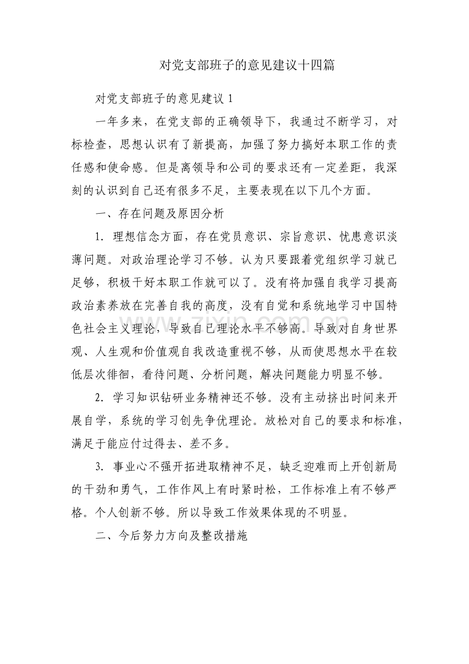 对党支部班子的意见建议十四篇.pdf_第1页