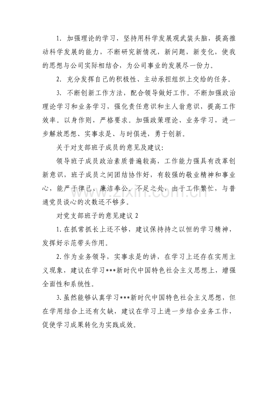 对党支部班子的意见建议十四篇.pdf_第2页