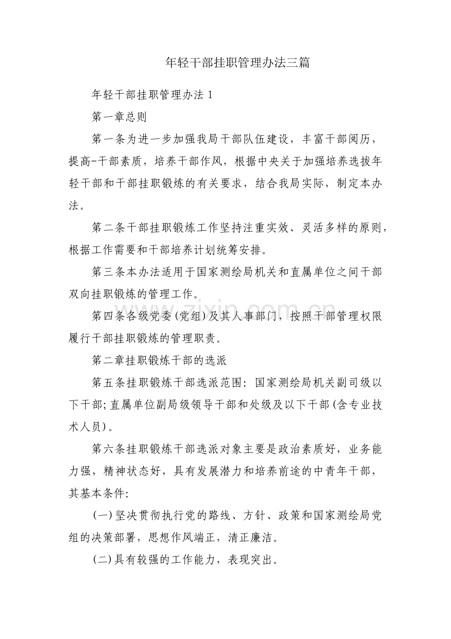 年轻干部挂职管理办法三篇.pdf_第1页