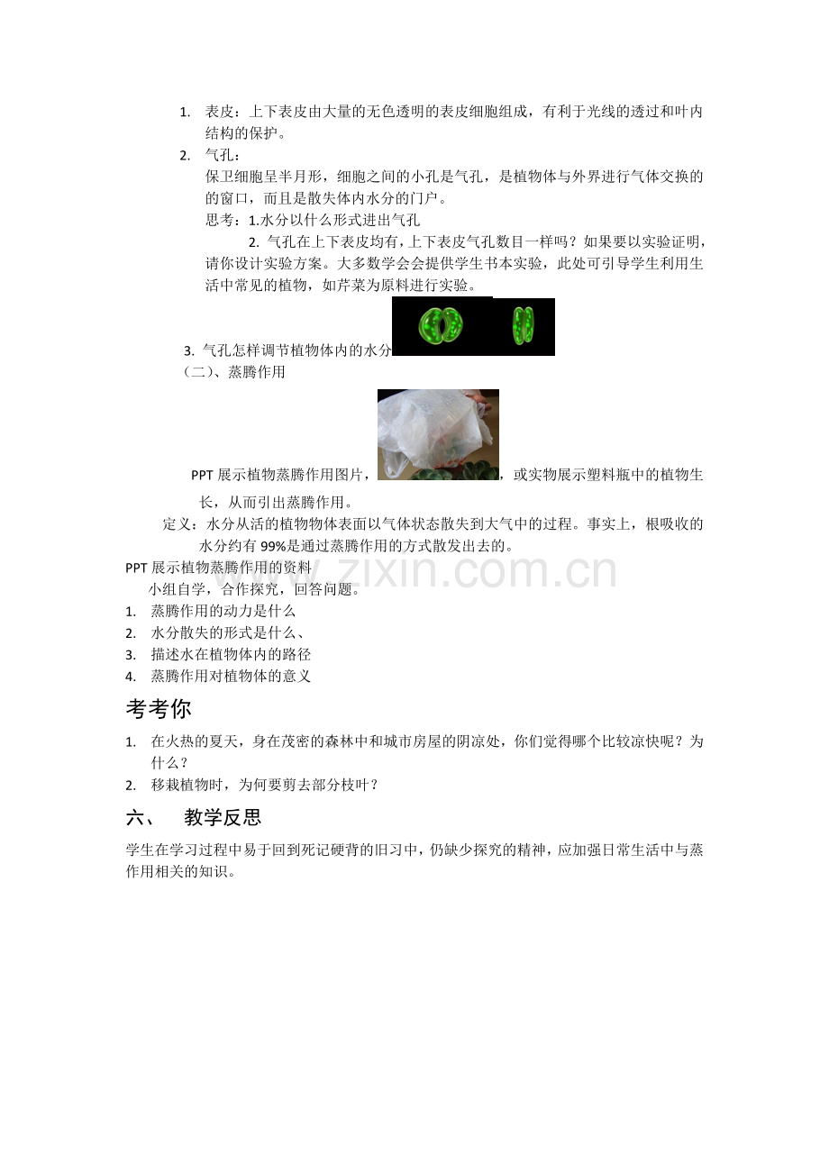 植物的叶与蒸腾作用.docx_第2页