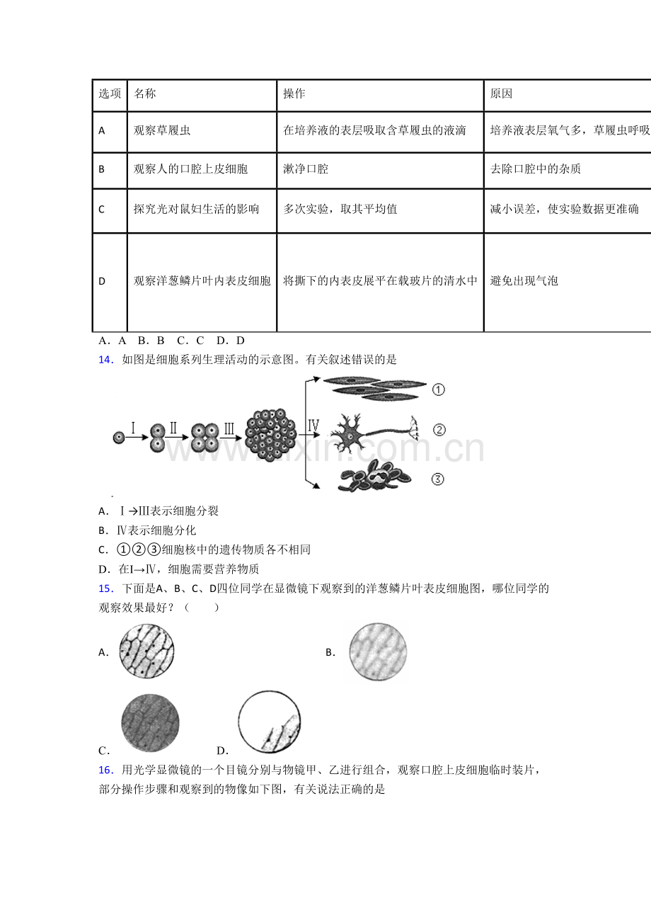 初一上册期末生物试卷附解析(-).doc_第3页