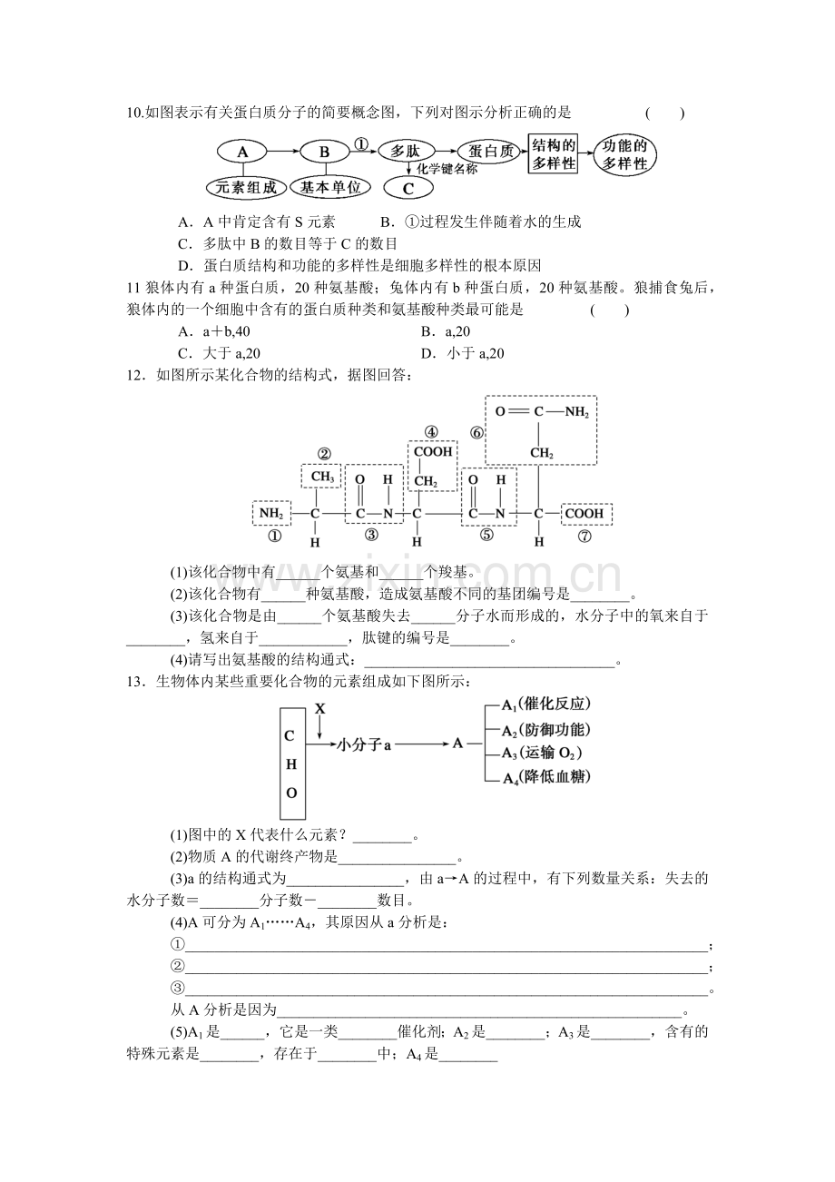 细胞中的生物大分子--蛋白质的结构和功能练习题.doc_第2页