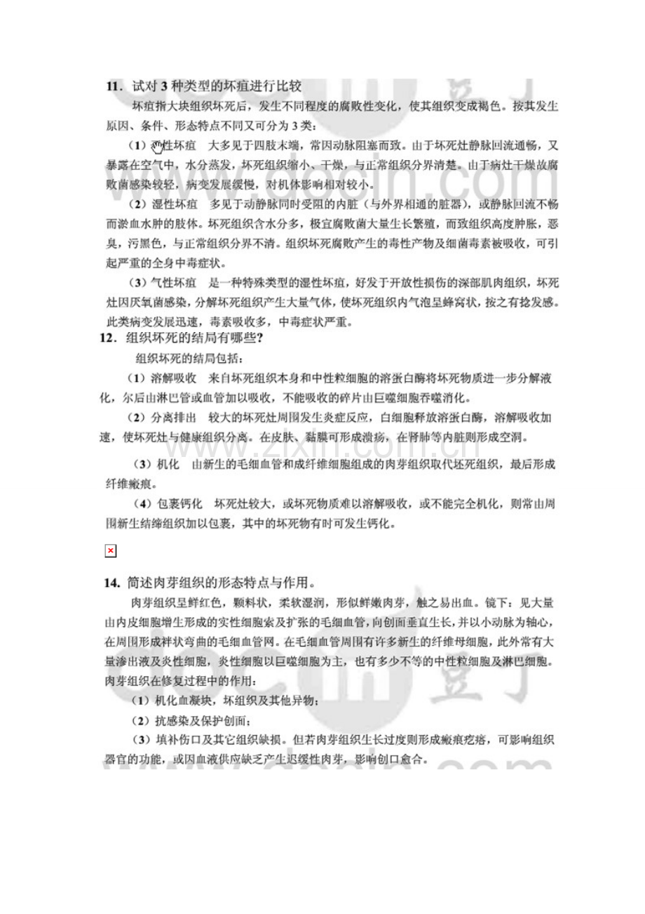 病理练习册答案.doc_第2页