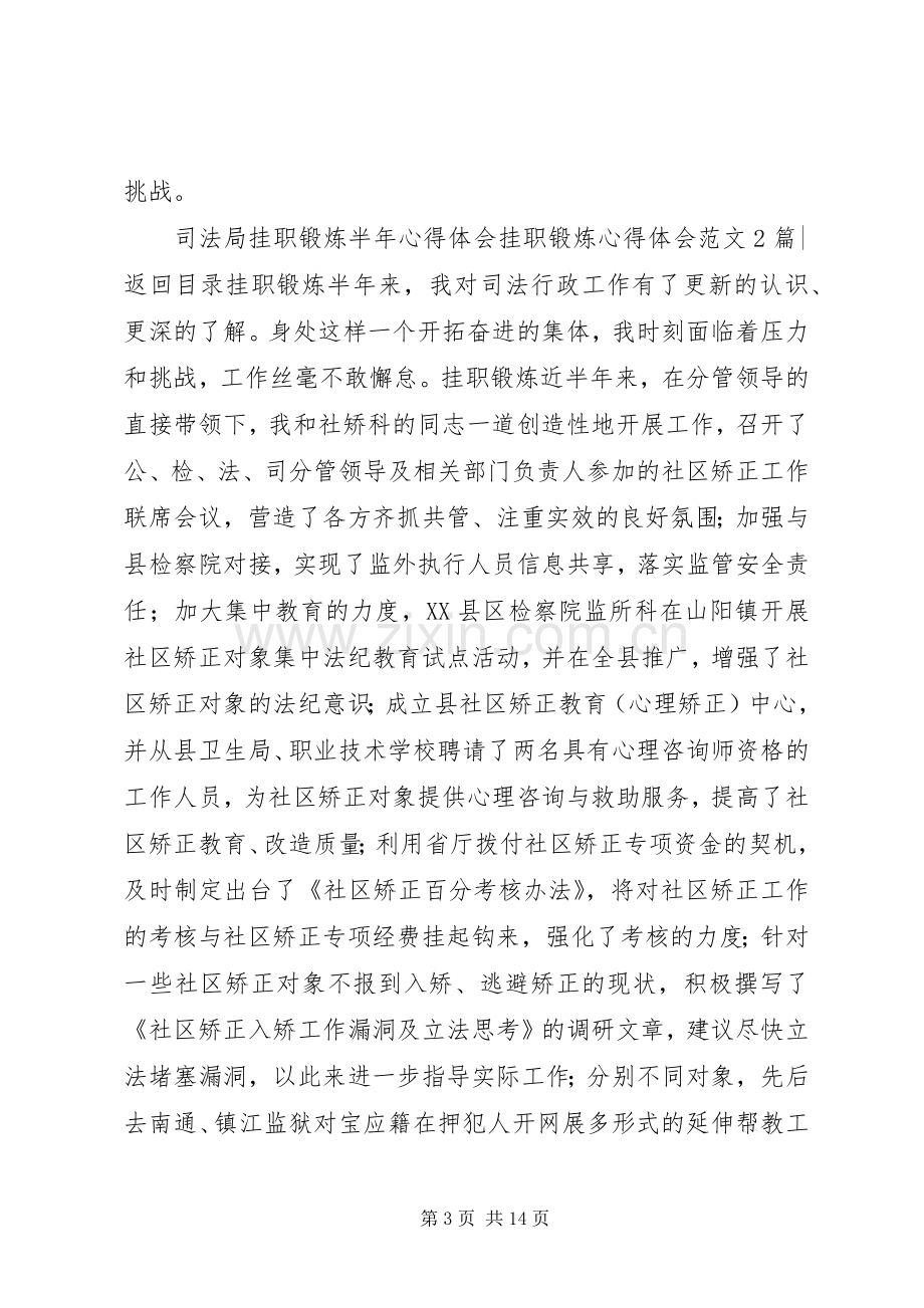 挂职锻炼体会心得范文3篇.docx_第3页