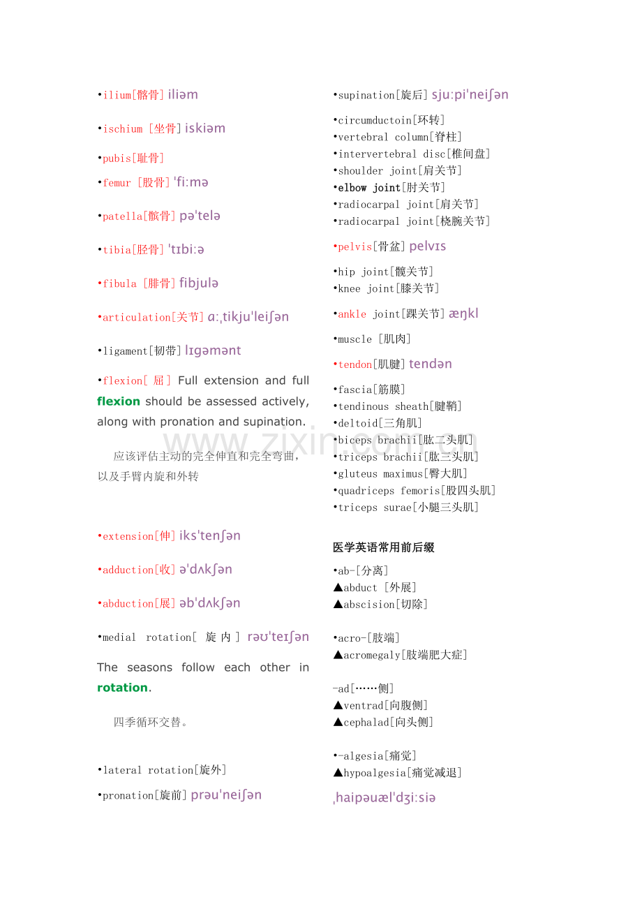 骨科常用英语词汇.doc_第2页