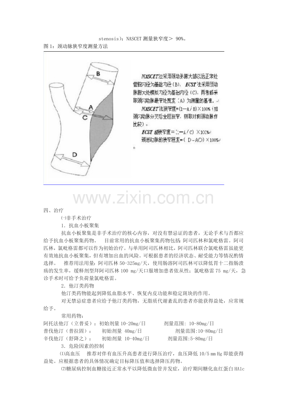 颅外颈动脉狭窄治疗指南.doc_第3页