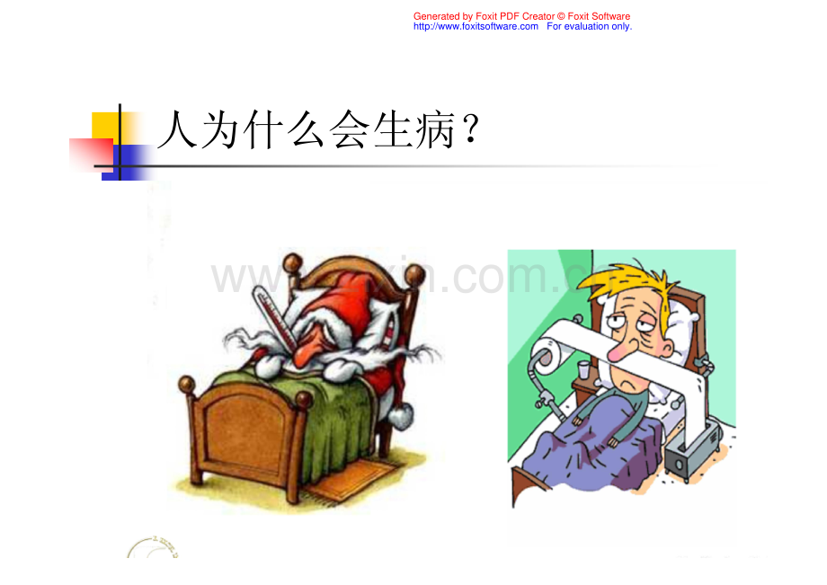 食品免疫学营养与免疫2.pdf_第3页