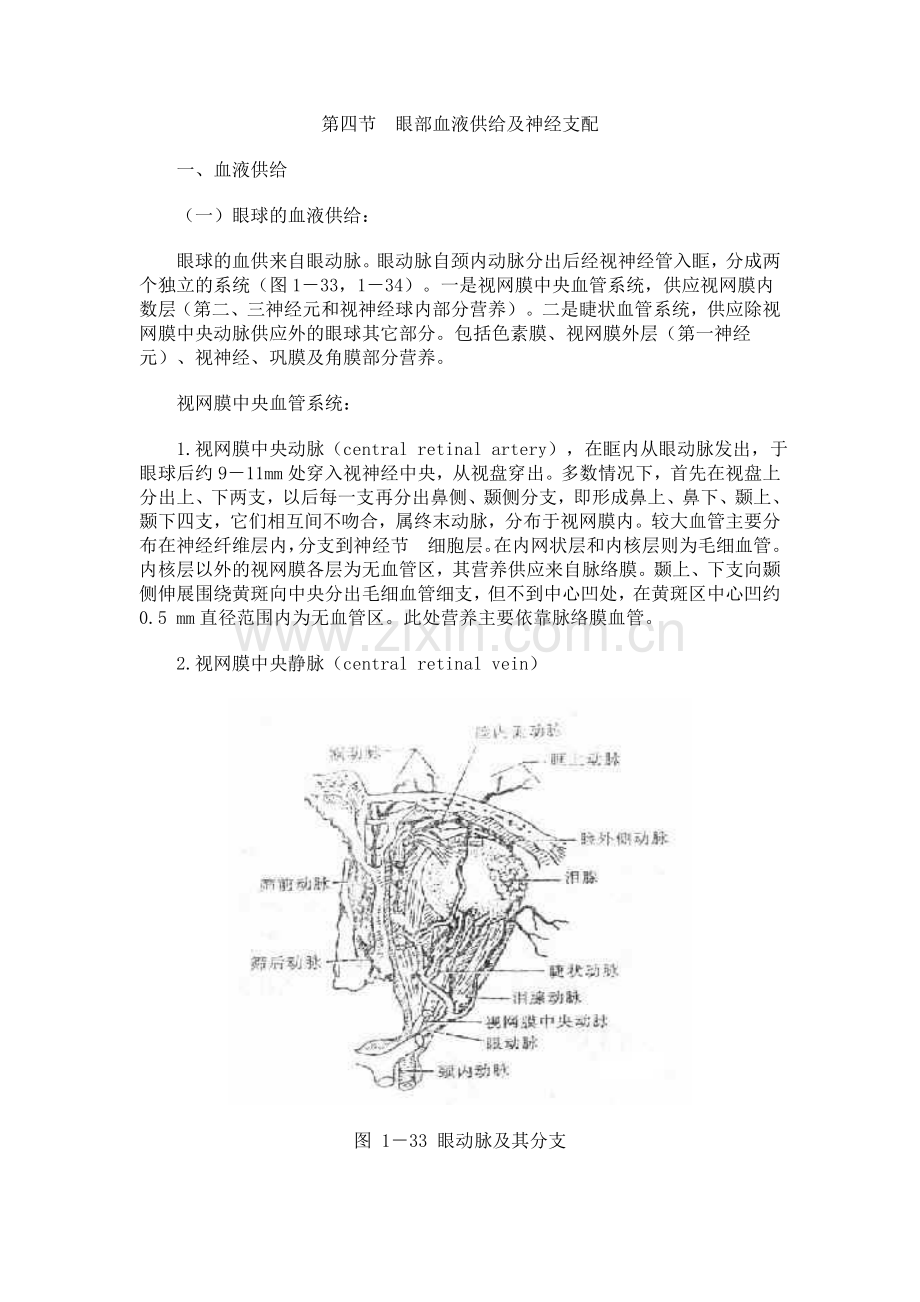 第四节 眼部血液供给及神经支配.doc_第1页