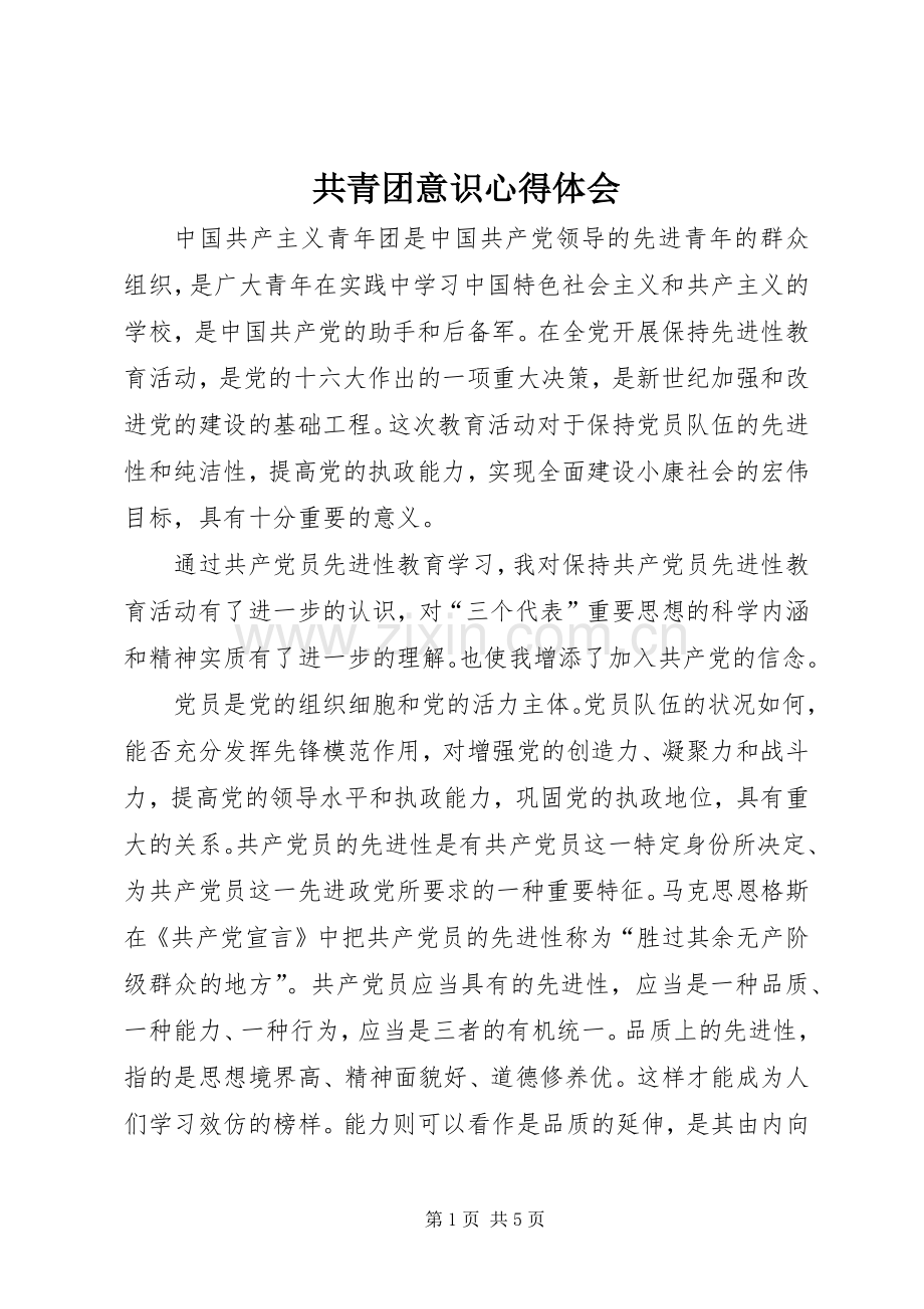 共青团意识体会心得.docx_第1页