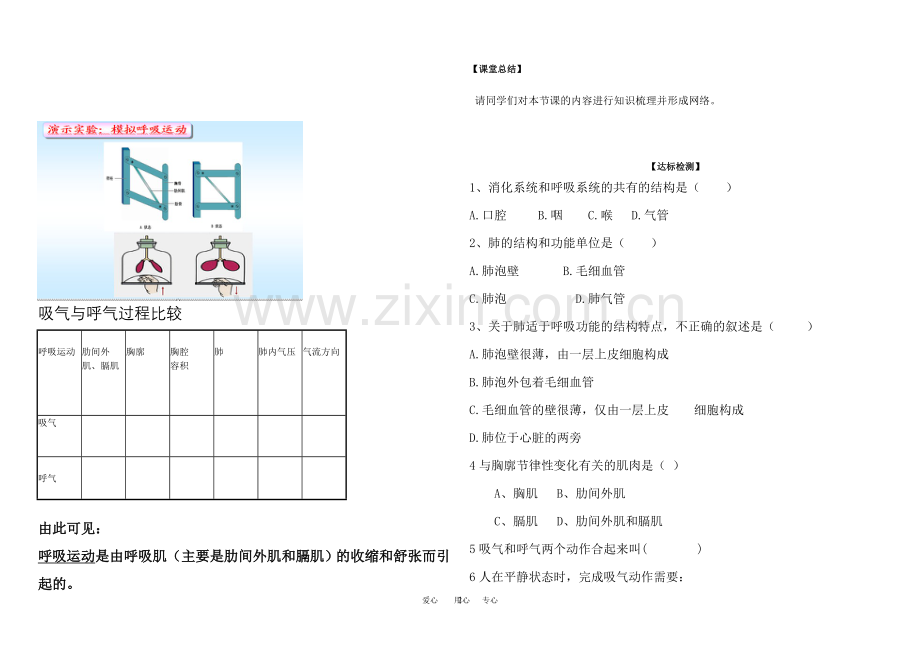 人体与外界的气体交换导学案.doc_第2页