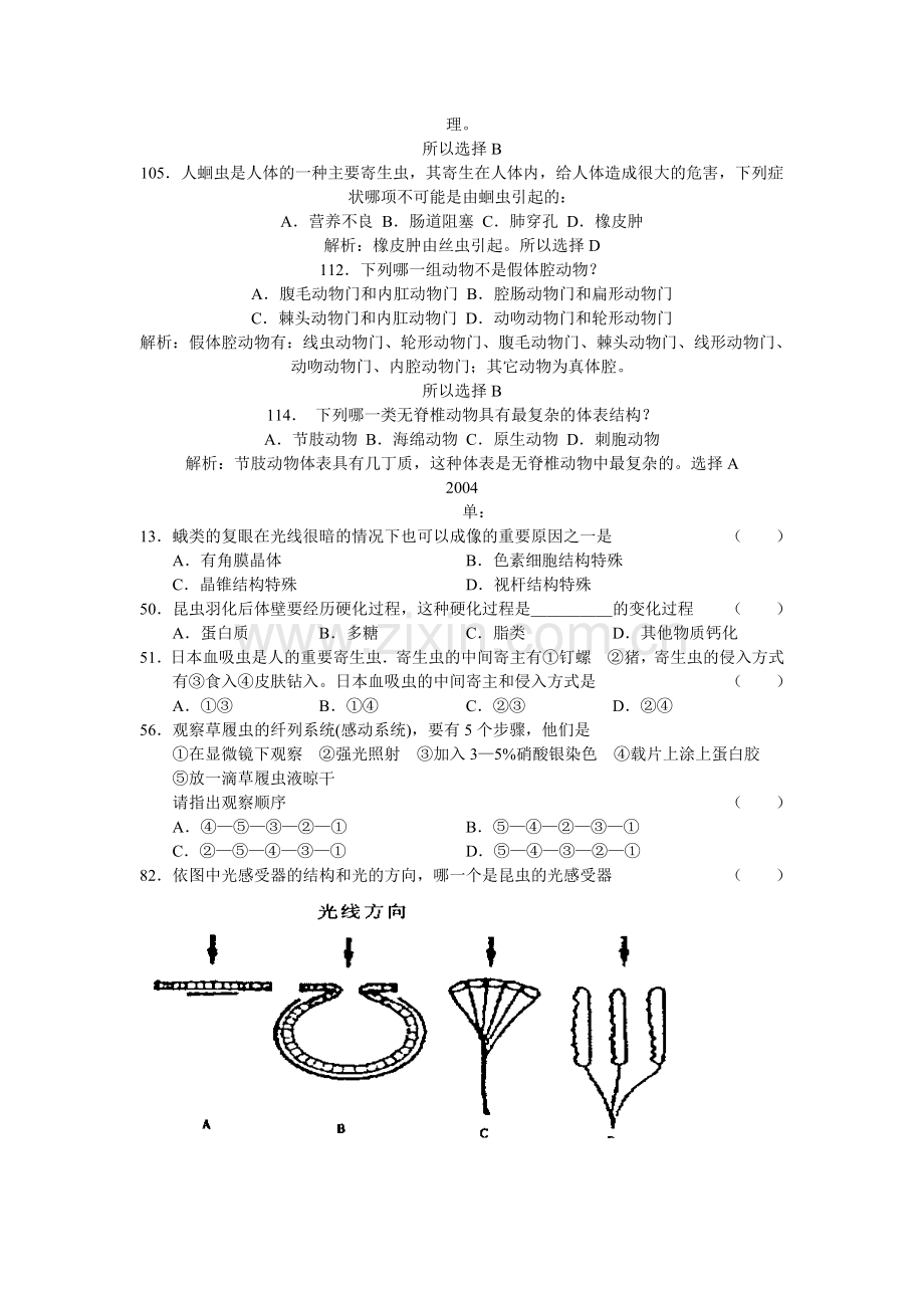 无脊椎动物.doc_第3页