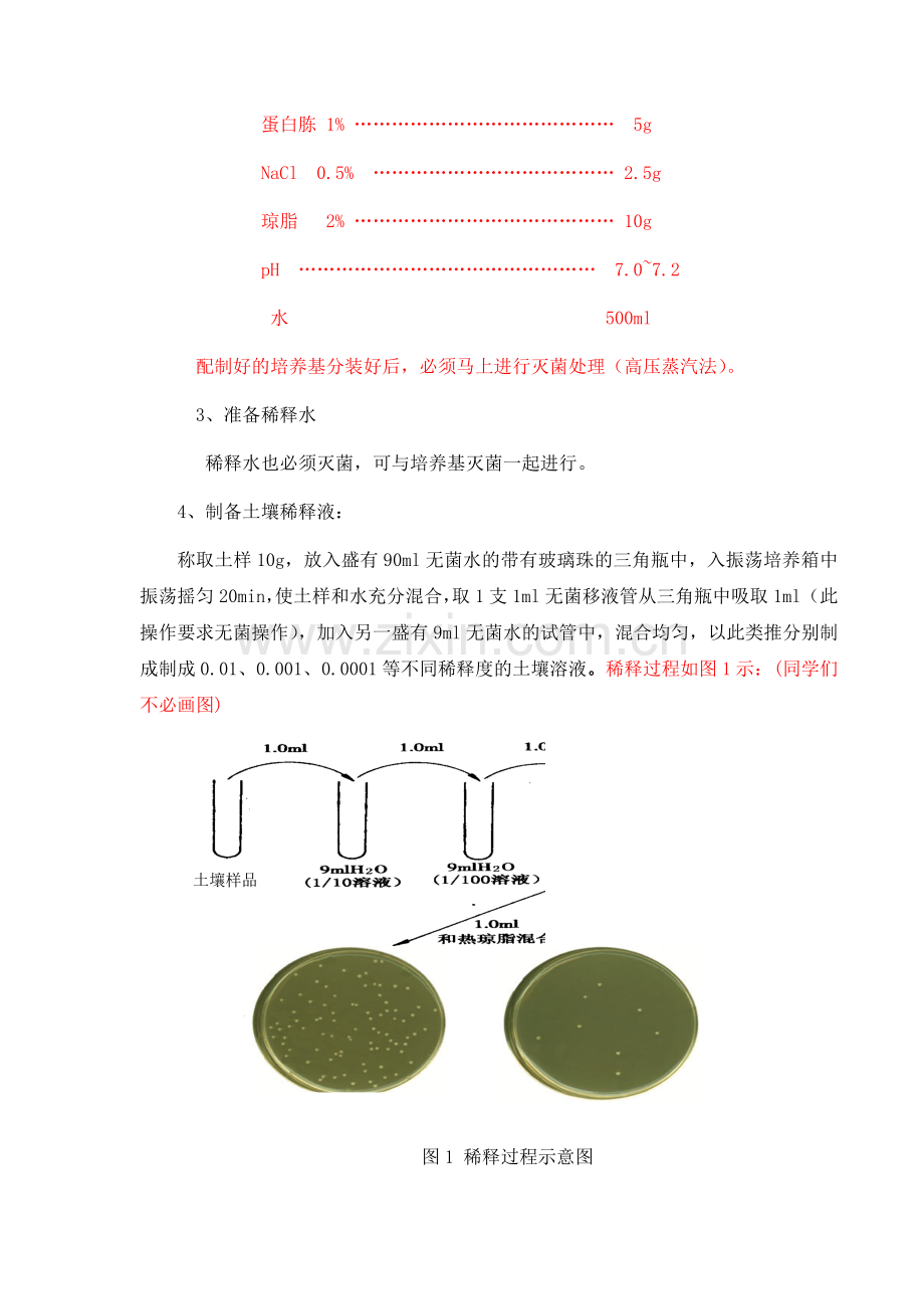 环境工程微生物学实验八 细菌纯种分离、培养和接种技术.doc_第3页