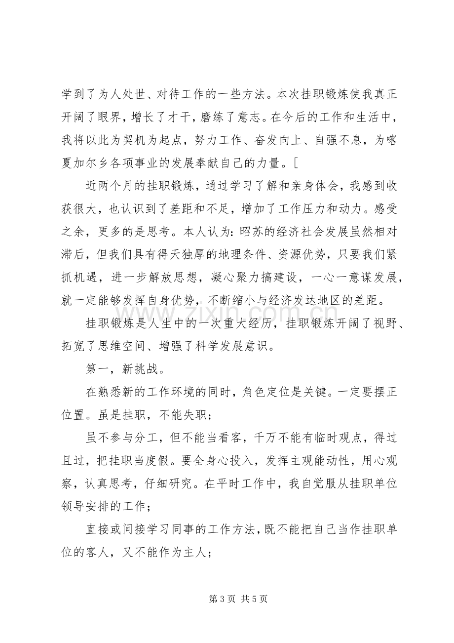 挂职干部体会心得.docx_第3页