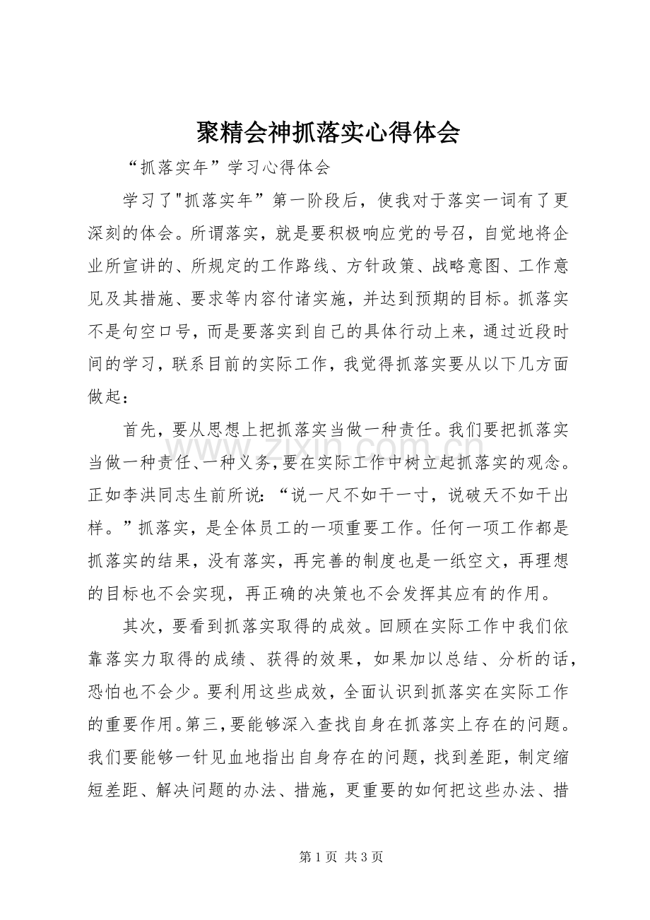 聚精会神抓落实体会心得.docx_第1页