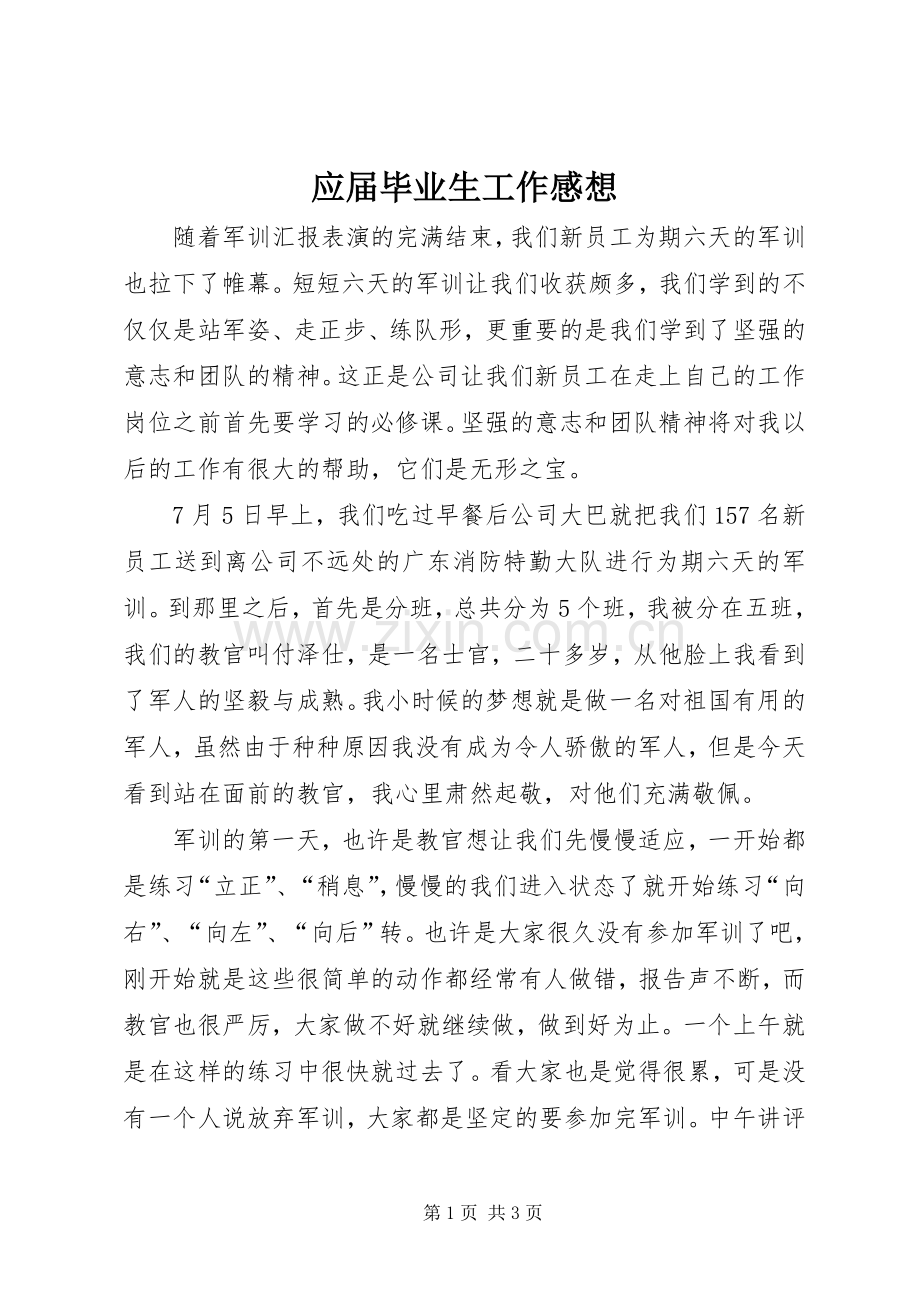 应届毕业生工作感想.docx_第1页