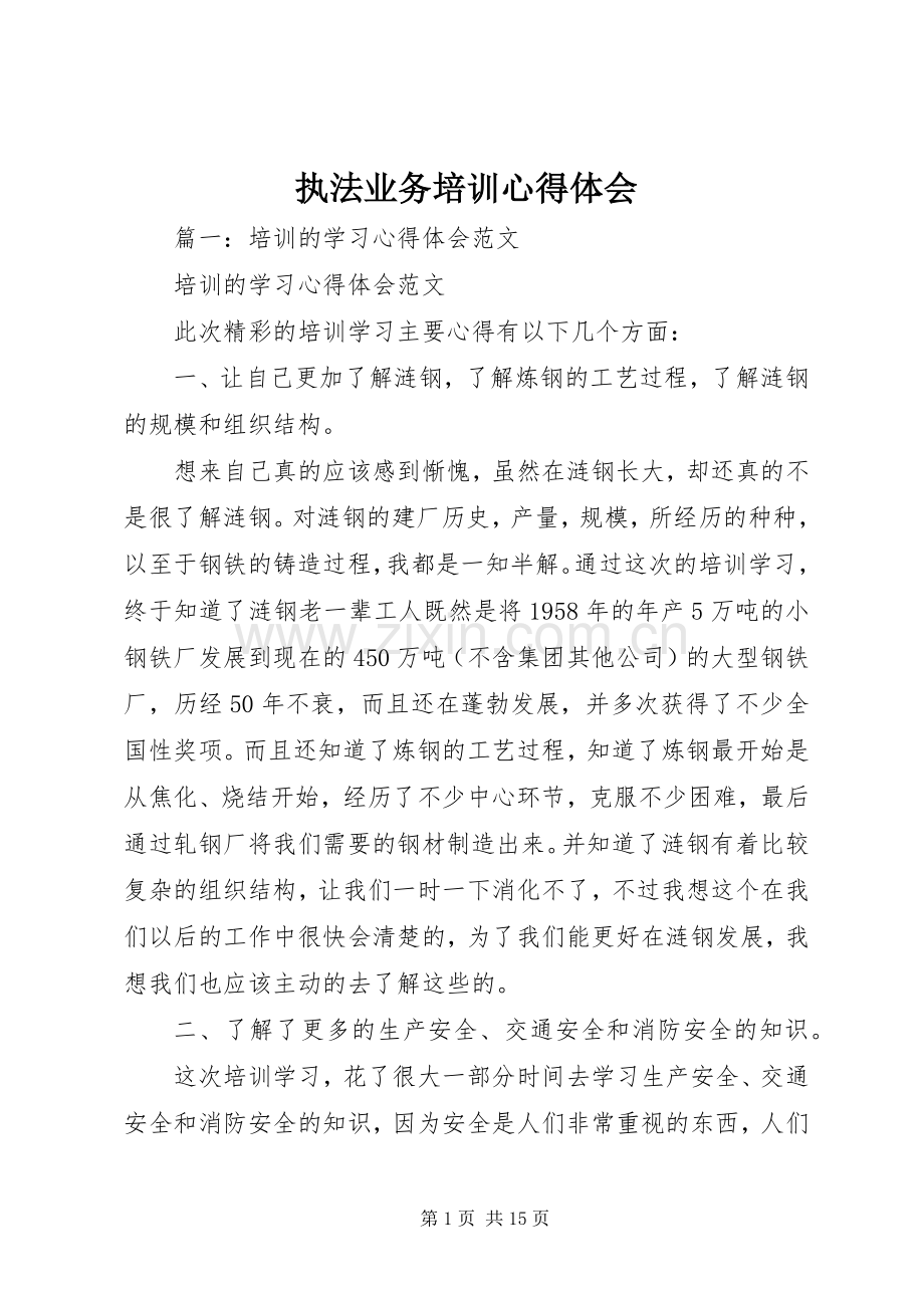 执法业务培训体会心得.docx_第1页