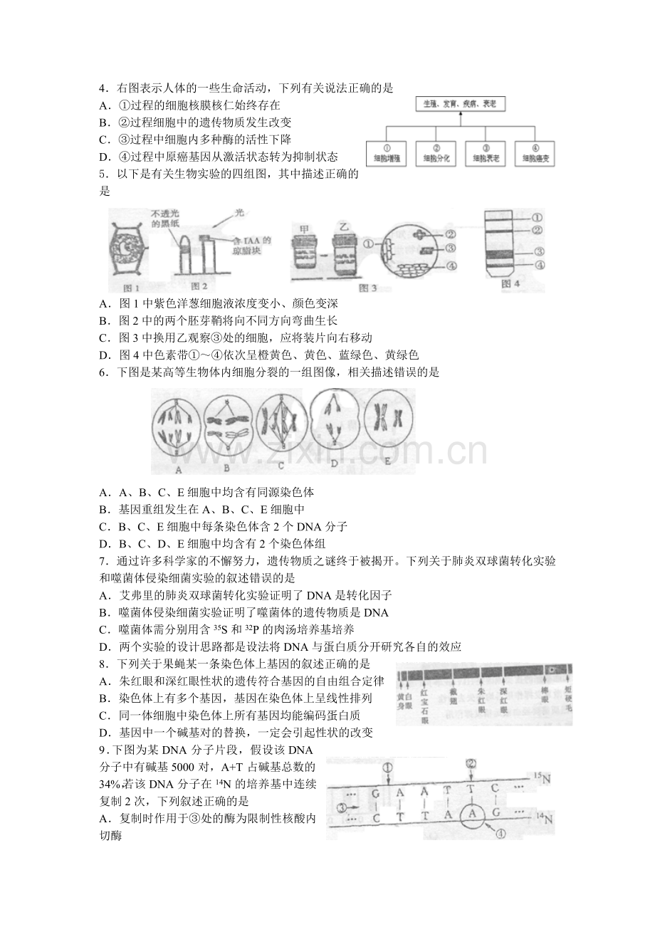 江苏省南京市2011届高三第一次模拟考试 生物.doc_第2页