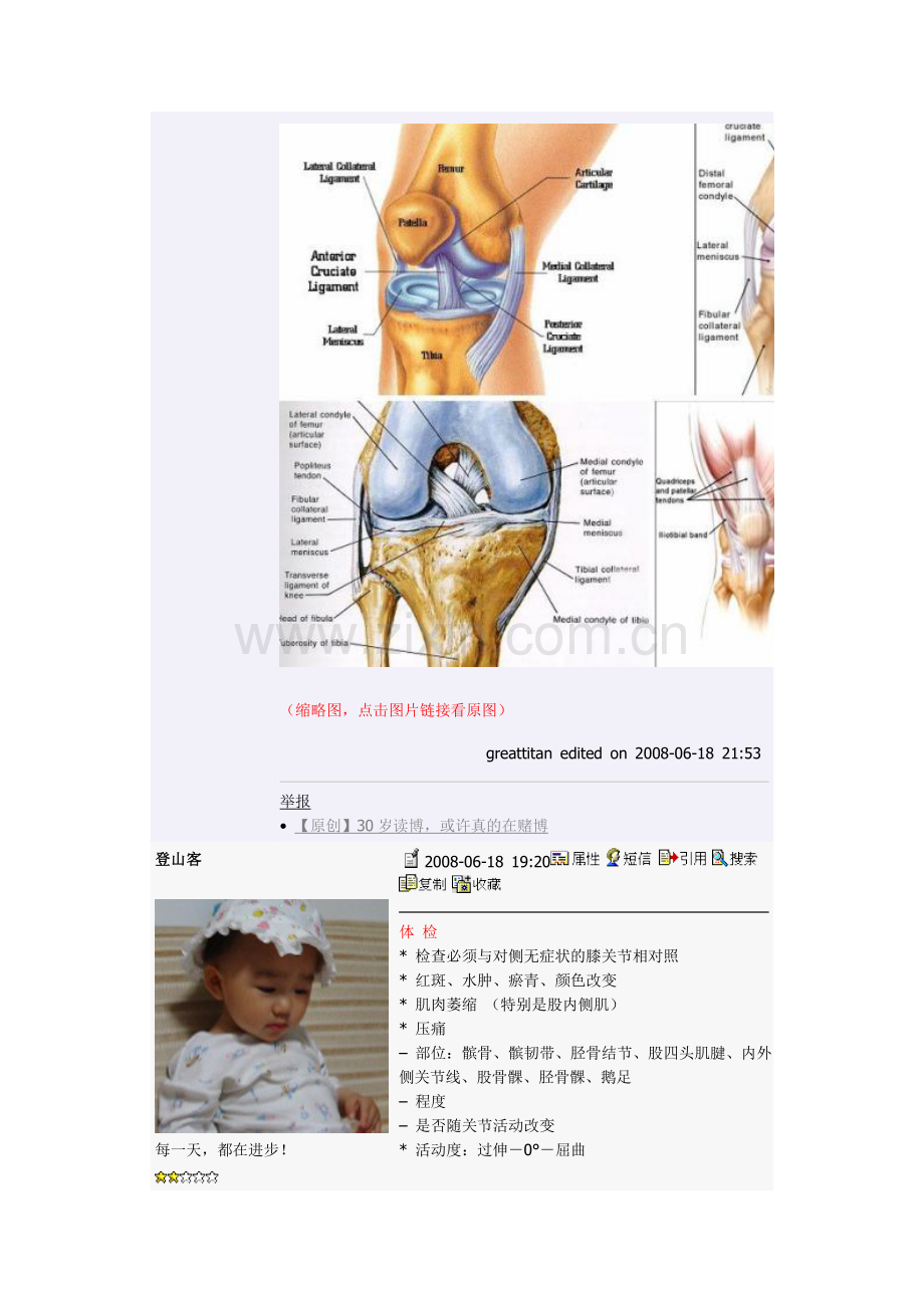 专题讲座】膝关节疼痛的诊断与鉴别诊断.doc_第2页