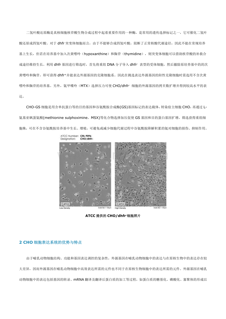 CHO细胞无血清培养基技术手册.doc_第2页