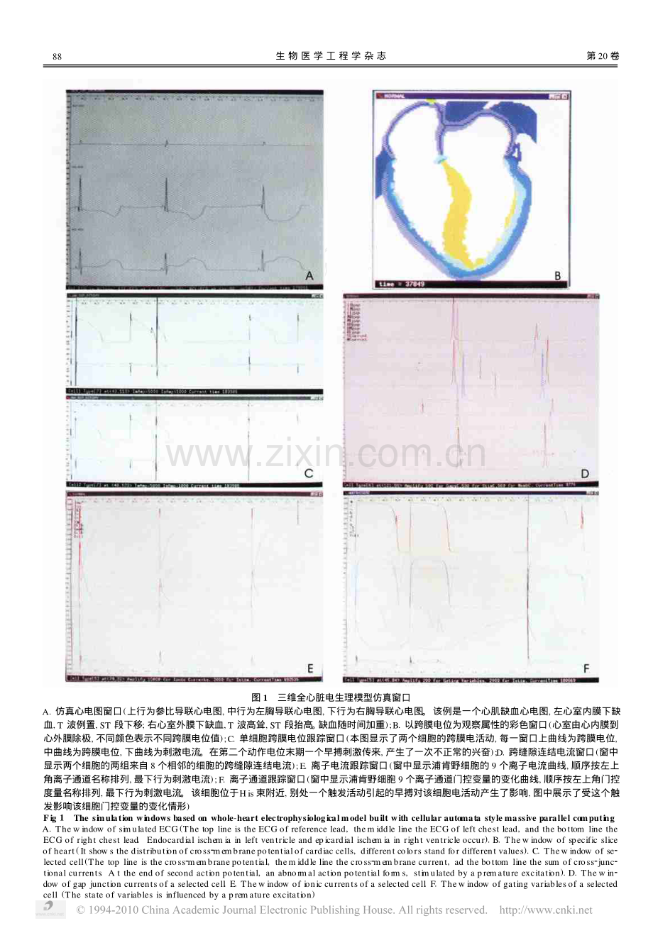 全心脏电生理模型的仿真应用.pdf_第3页