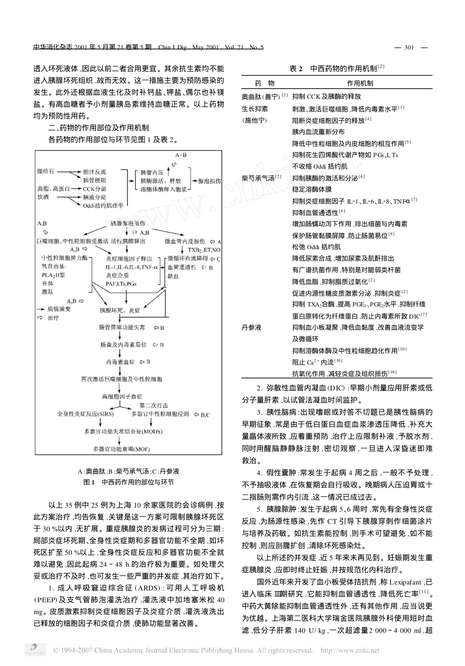 重症胰腺炎的规范化治疗和治疗策略.pdf_第2页