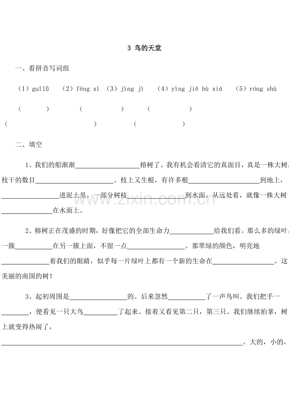 《鸟的天堂》同步习题.doc_第1页