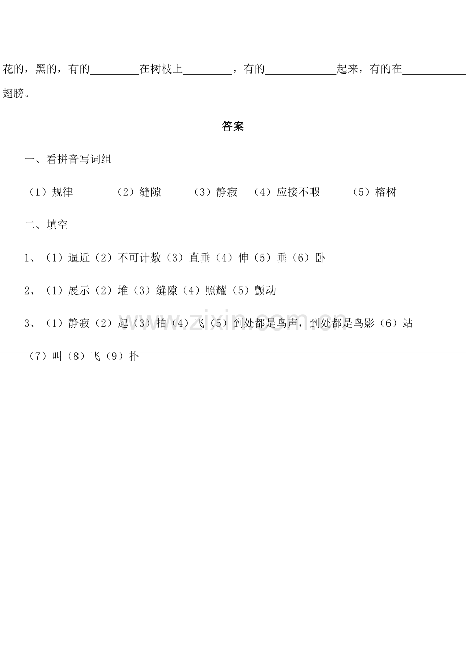 《鸟的天堂》同步习题.doc_第2页