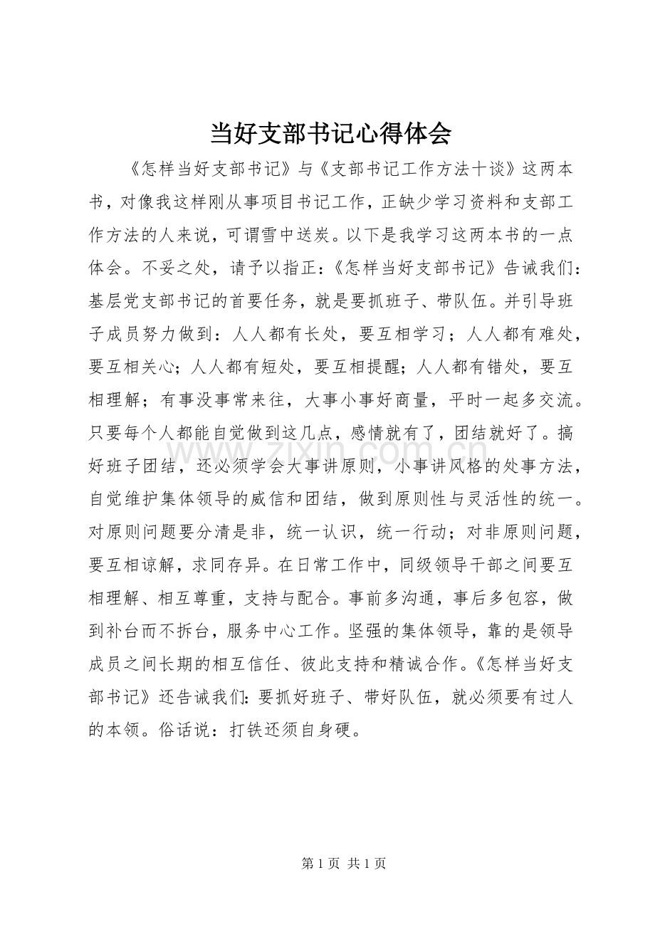 当好支部书记体会心得.docx_第1页