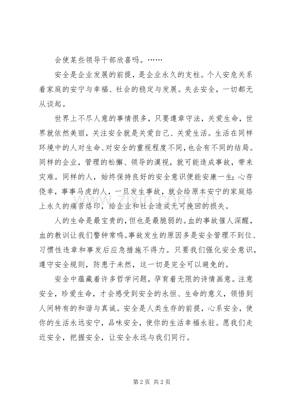 关于安全的感想.docx_第2页