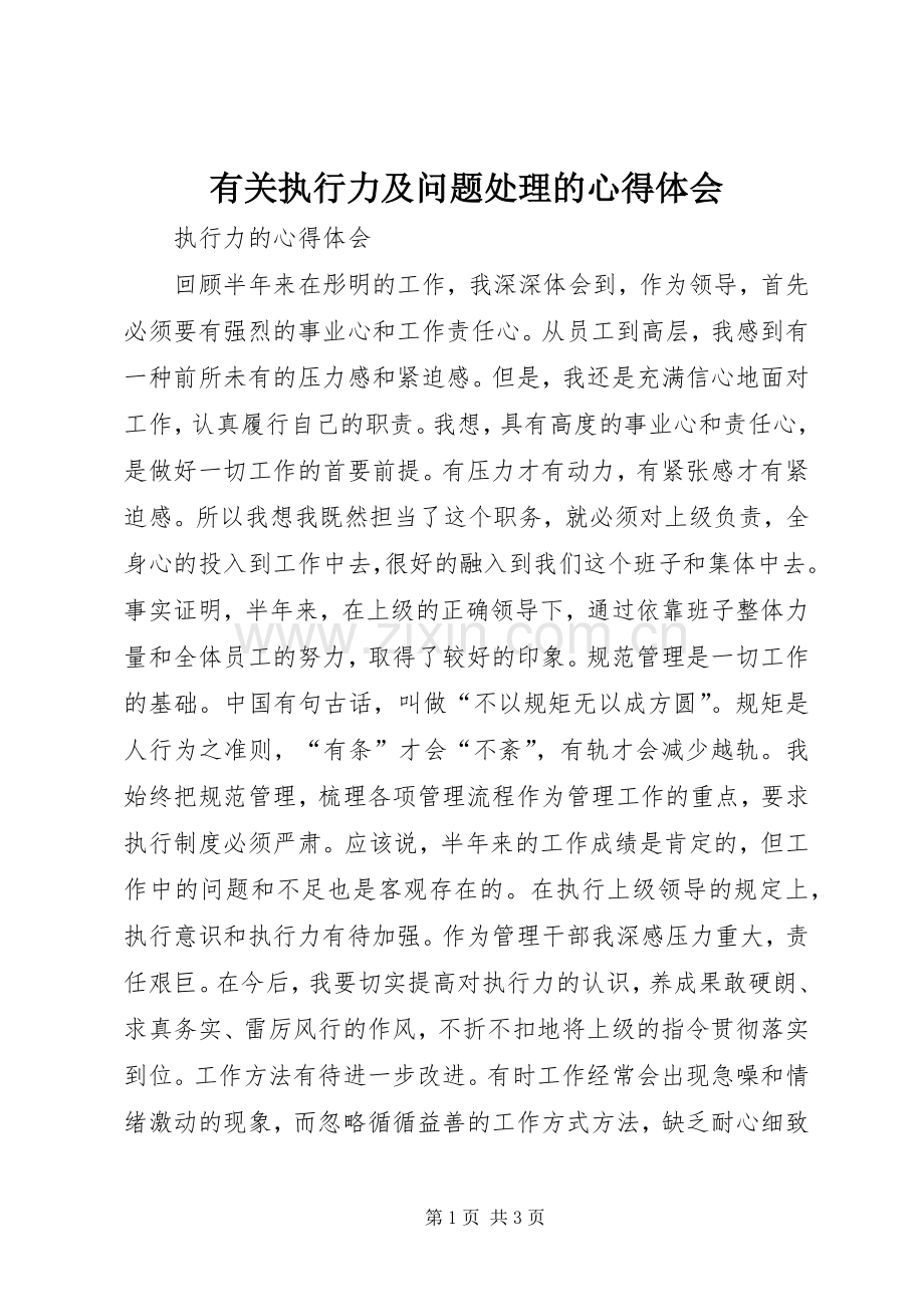 有关执行力及问题处理的体会心得.docx_第1页