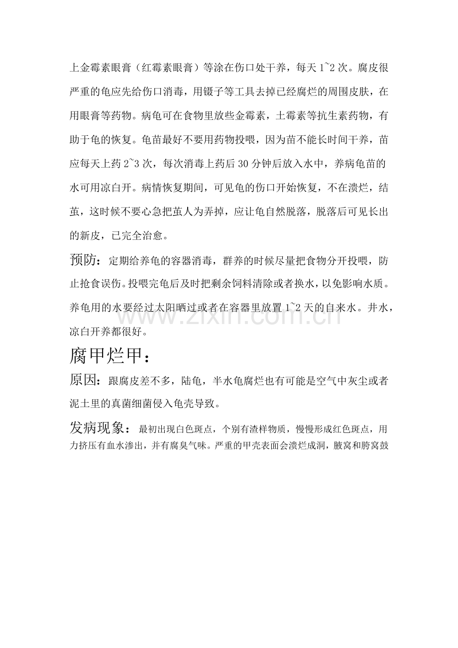 乌龟常见病及治疗.docx_第2页