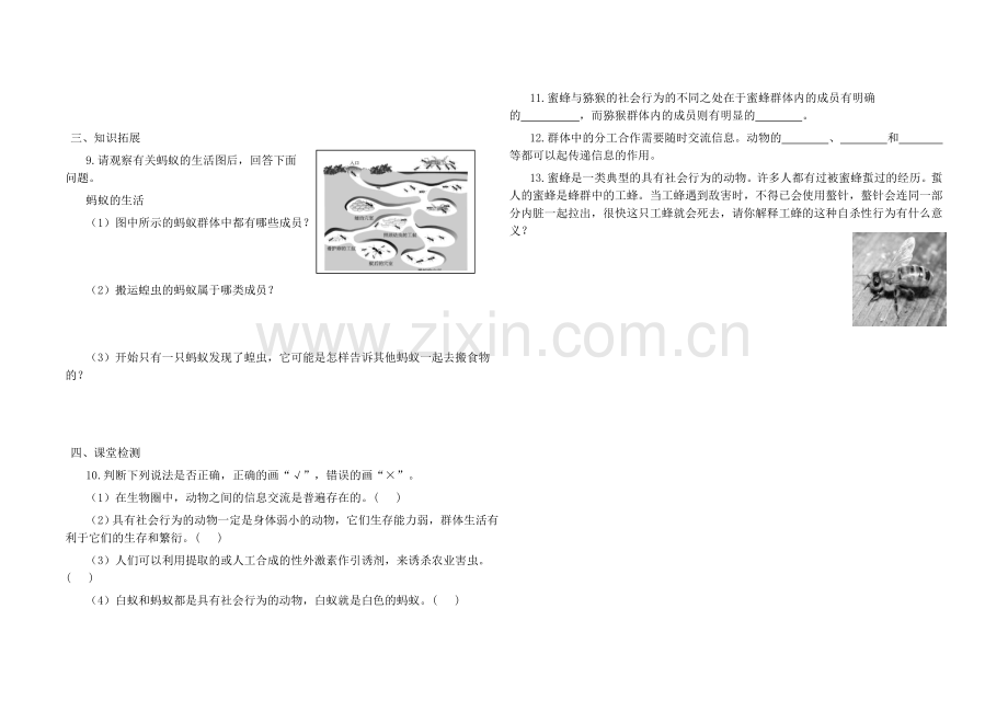 第三节社会行为.doc_第2页