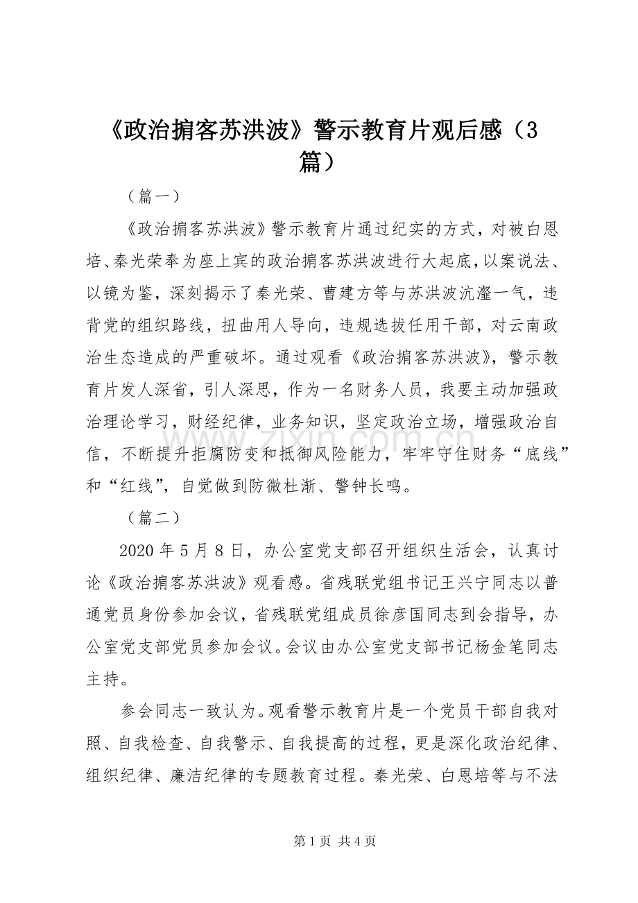 《政治掮客苏洪波》警示教育片观后心得（3篇）.docx_第1页