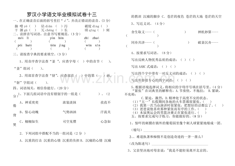 罗汉小学语文毕业模拟试卷十三.doc_第1页