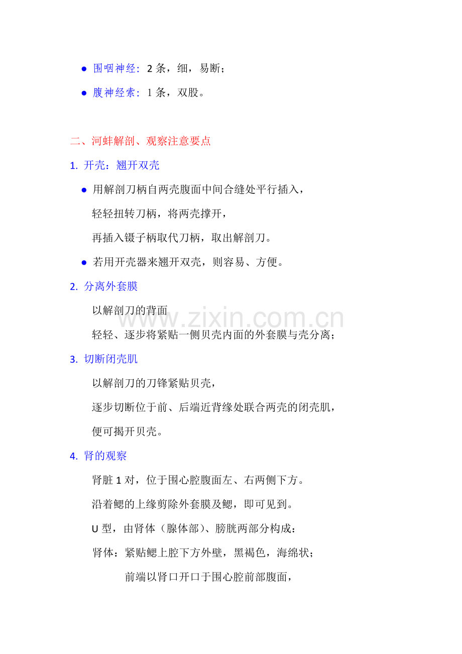 无脊椎动物解剖.doc_第3页