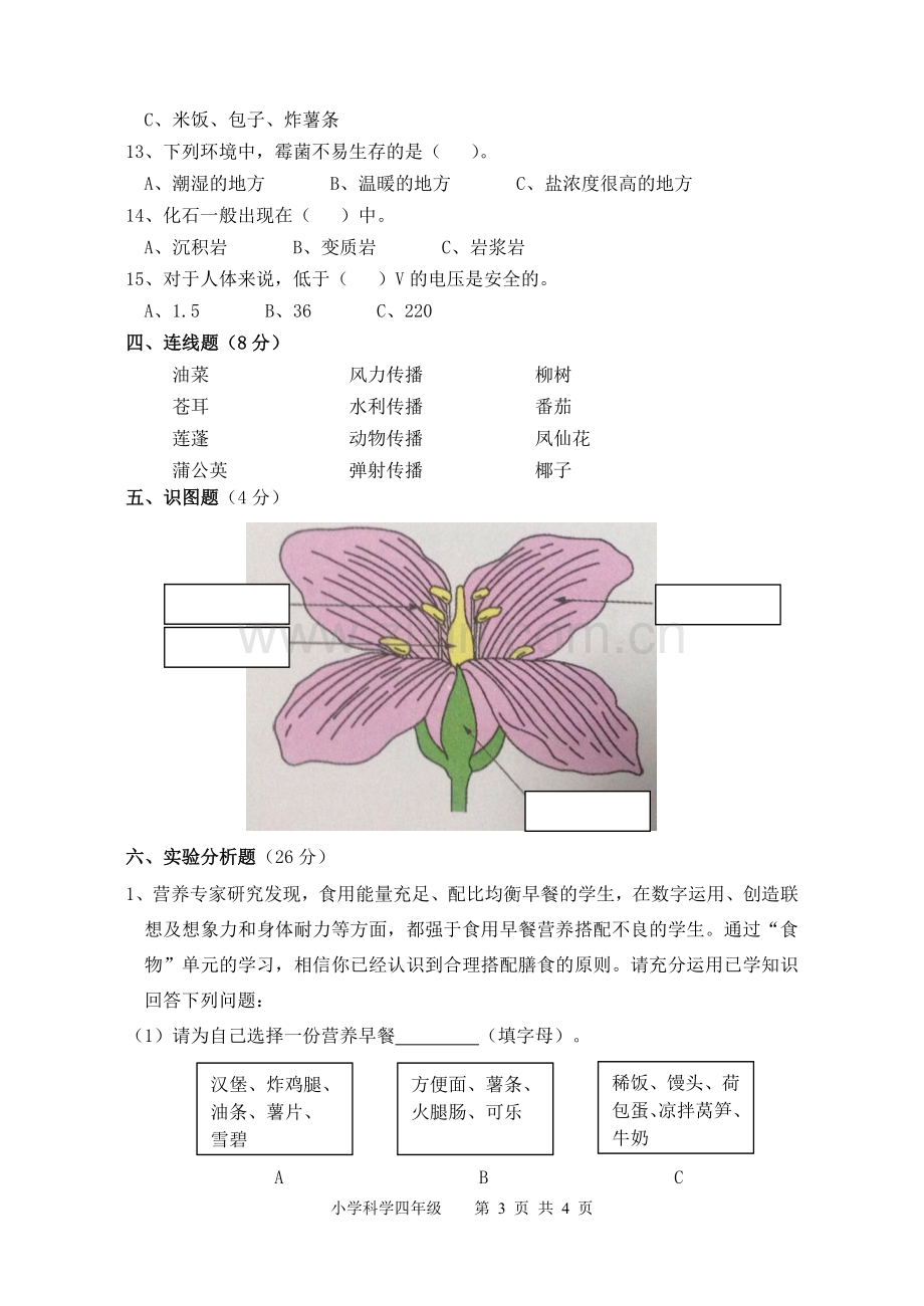 科学四年级月考试卷.doc_第3页