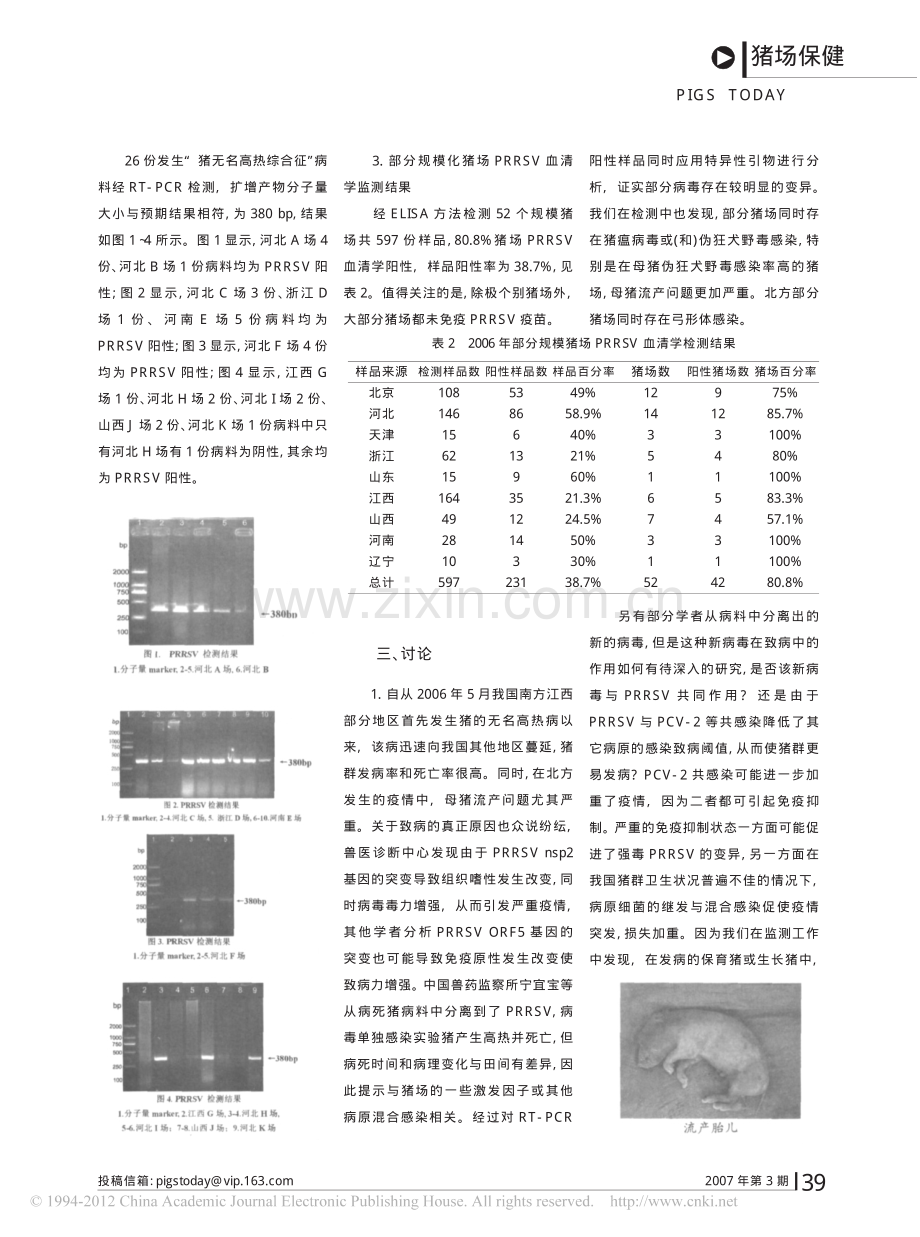 母猪流产与高热综合征主要病原检测以及规模猪场猪繁殖与呼吸综合征血清学监测与分析.pdf_第3页