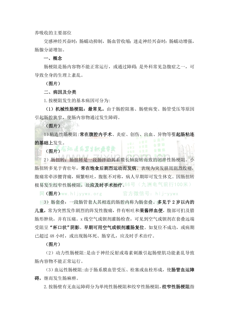 肠梗阻病人的护理.doc_第2页