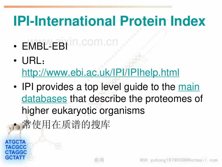 IPI-International Protein Index 数据库介绍 - 中国生物.pdf_第2页