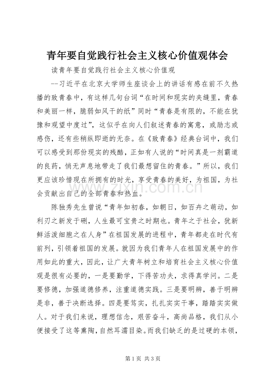 青年要自觉践行社会主义核心价值观体会.docx_第1页