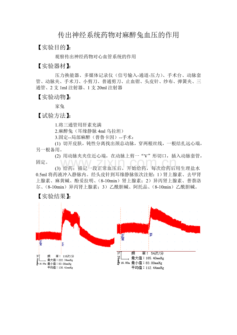 传出神经系统药物对麻醉兔血压的作用.doc_第1页