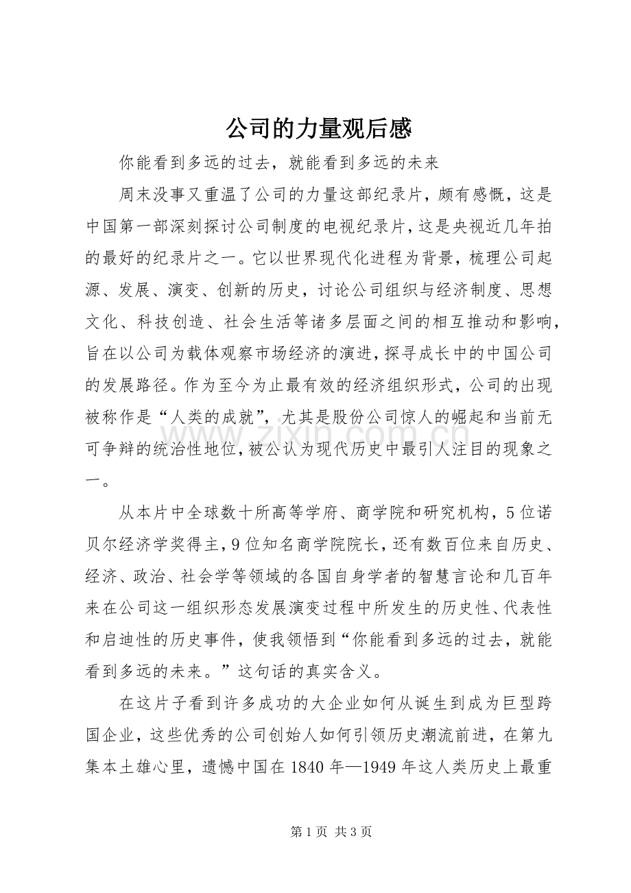 公司的力量观后心得.docx_第1页