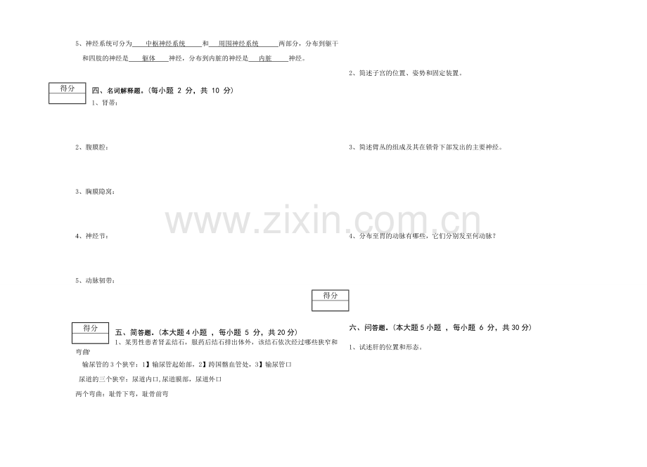 三峡大学《系统解剖学》A卷.doc_第3页